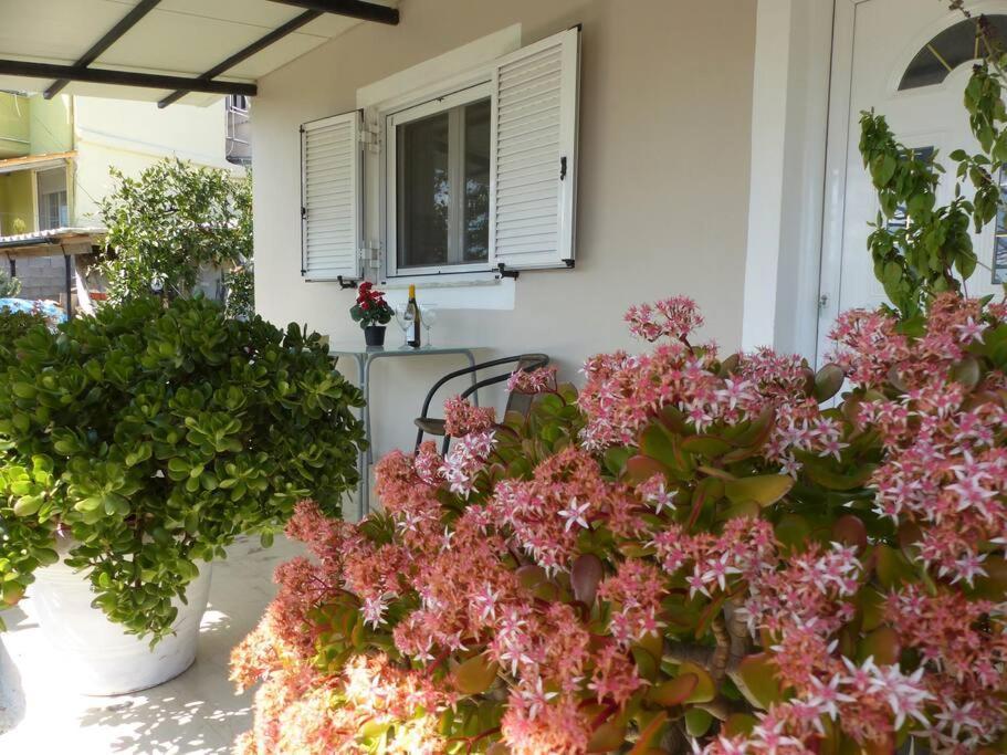 Michaels Flower House Kanali  Экстерьер фото